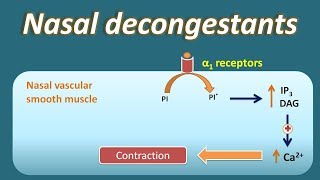 Dangers of Sudafed amp Meth [upl. by Judon197]