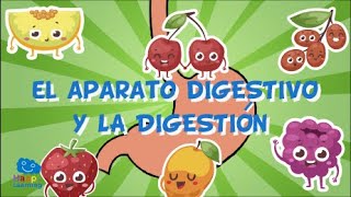 EL APARATO DIGESTIVO Y LA DIGESTIÓN  Videos Educativos para Niños [upl. by Lyndon]