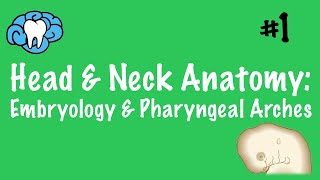 Myelodysplastic syndrome  Hematologic System Diseases  NCLEXRN  Khan Academy [upl. by Sirah]