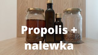 49 Propolis nalewka propolisowa  jak pozyskuje [upl. by Stew]