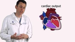 Ventricular Septal Defects by D Bailly  OPENPediatrics [upl. by Laddie805]