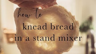 How to Knead Bread in a Stand Mixer [upl. by Weywadt]