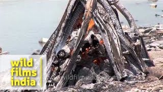 Burning dead body in Hindu cremation [upl. by Eelhsa408]