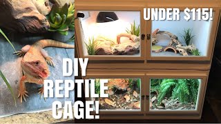 How To Build Your Own Reptile Enclosure  Perfect for Bearded Dragons Skinks  More [upl. by Elleahcim]