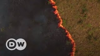 Como o desmatamento e queimadas ameaçam a Floresta Amazônica [upl. by Nah508]