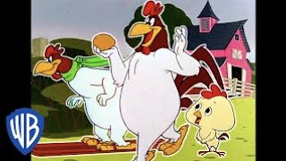 Looney Tunes en Latino  El Gallo Claudio en la granja  WB Kids [upl. by Datha567]