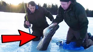 Ice Fishing  Catching BIG fish through the ICE [upl. by Yokum]