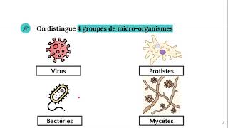 Les microorganismes 🦠 [upl. by Arimahs]