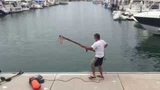 Tuna speared from dock in harbor [upl. by Valene521]