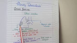 Tuberculosis Pathology  Primary and Secondary TB [upl. by Temple]