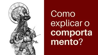 Como explicar o comportamento humano [upl. by Cristie]