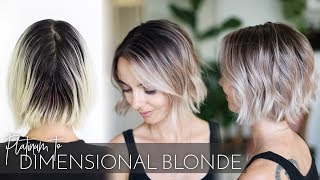 All Over Platinum to Dimensional Blonde Balayage in one Appointment  Easy Technique [upl. by Enitsugua]