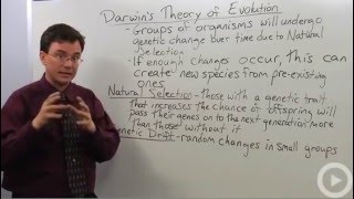 Darwins Theory of Evolution [upl. by Arotahs]