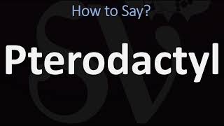 How to Pronounce Pterodactyl CORRECTLY [upl. by Maxwell]