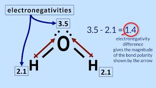 Polar Molecules Tutorial How to determine polarity in a molecule [upl. by Alliscirp476]