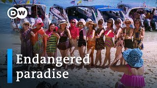 Thailand and the fallout from mass tourism  DW Documentary [upl. by Ecinad]