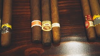 Understanding Cigars [upl. by Eniarda]