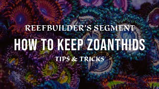 Zoanthids  How to Keep and Growing using Tips and Tricks Reefbuilders Video Segment [upl. by Jamal]