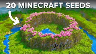 20 Seeds You Must Try in Minecraft 120 [upl. by Nerua]