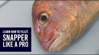 How to fillet skin and debone New Zealand snapper tāmure [upl. by Ardnuaed]