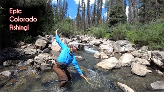 The TOP 10 fishing spots in Colorado  McFly Angler Fly Fishing [upl. by Edivad]