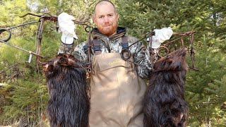 quotHow And Where To Set Beaver Trapsquot Beaver Trapping Basics Part 2 [upl. by Ayoral]