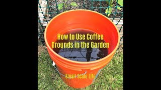 How to Use Coffee Grounds for Plants [upl. by Qidas]