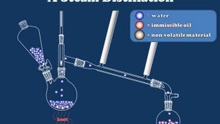 How Steam Distillation Works [upl. by Junette520]