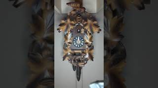 Hubert Herr 1 day cuckoo clock [upl. by Thurlough880]