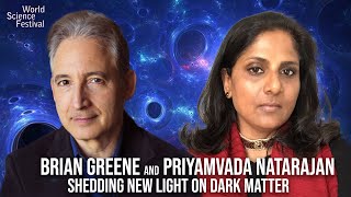 Shedding New Light On Dark Matter Brian Greene and Priyamvada Natarajan [upl. by Nylecaj]