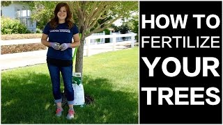 How to Fertilize Trees [upl. by Eeramit570]