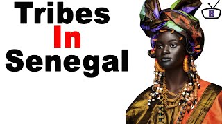 Major ethnic groups in Senegal and their peculiarities [upl. by Otsirc]