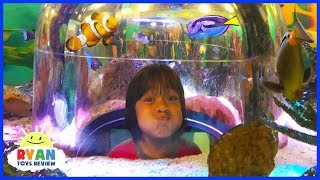 Ryan inside Sealife Aquarium with Emma and Kate for the first time [upl. by Karli]