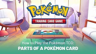 How to Play the Pokémon TCG Parts of a Pokémon Card [upl. by Eimirej]