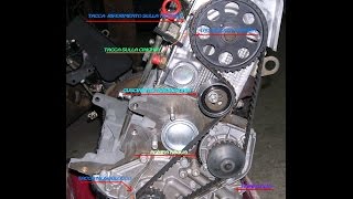 Come sostituire la CINGHIA di DISTRIBUZIONEHow to replace TIMING BELT [upl. by Alrick]