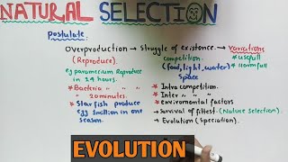 Natural selection theory  Darwin Theory  NMDCAT 2021 [upl. by Aicelef]