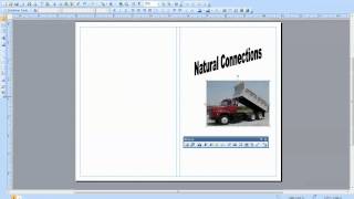 Creating a Brochure in Publisher [upl. by Nonnaer]