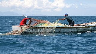 Pesca Artesanal en el Golfo de Urabá  TvAgro por Juan Gonzalo Angel [upl. by Scevour]