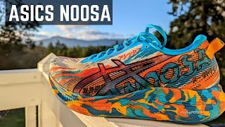 Asics Noosa Tri 13 Review [upl. by Koser651]