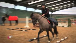 Tourner court avec votre cheval  Equidia Life [upl. by Sampson]