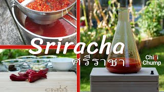 Sriracha hot sauce recipe Quick easy and delicious [upl. by Weingarten]