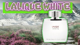 Lalique White Fragrance A UNIQUE GEM [upl. by Ahsyak]