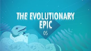 The Evolutionary Epic Crash Course Big History 5 [upl. by Dabbs]