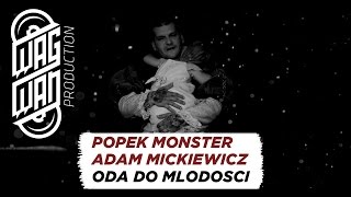 POPEK MONSTER INTERPRETATION ADAM MICKIEWICZ  ODA DO MLODOSCI [upl. by Enomal]