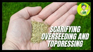 Scarifying seeding and topdressing this lawn [upl. by Navonod]