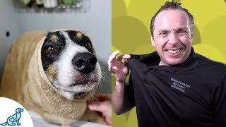 Simple Hacks To Bath Your Dog  Professional Dog Training Tips [upl. by Strep]