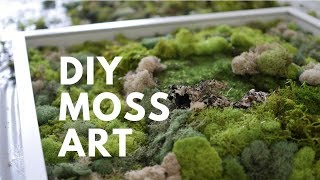 DIY MOSS ART  DONE SIMPLY [upl. by Eilssel]