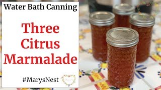 How to Make Marmalade Jam with StepByStep Guide To Water Bath Canning  How to Can Jam [upl. by Brenan]