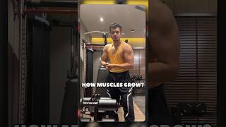 How muscle growth happens exercise [upl. by Tallbot]