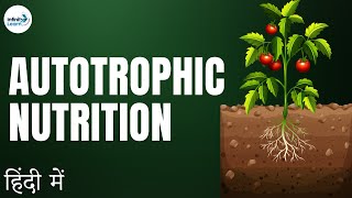 Life Processes  Lesson 02  Autotrophic Nutrition  in Hindi हिंदी में   Infinity Learn [upl. by Srevart]